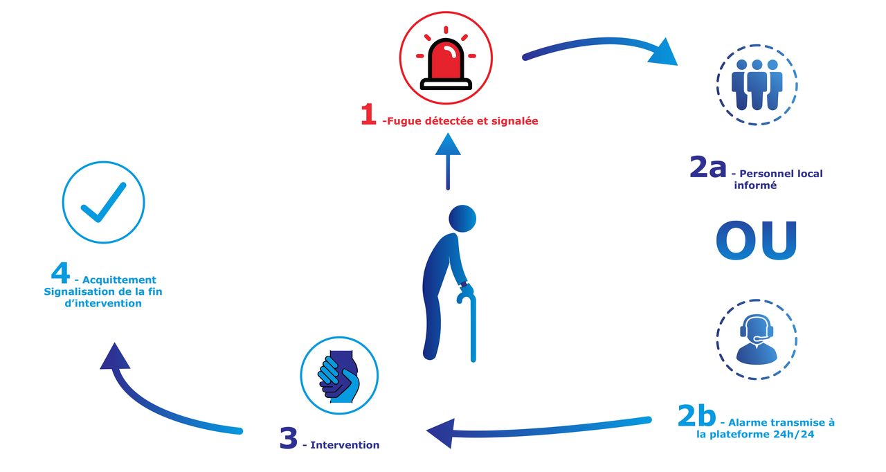 detection fugue